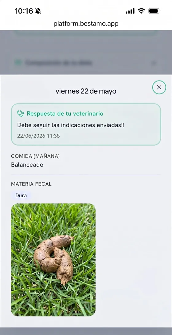 Portal del tutor: registro digestivo con foto y respuesta del veterinario